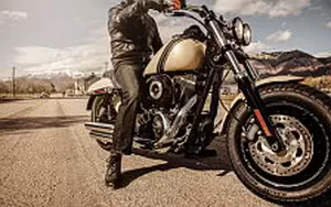 Desktop wallpapers motorcycle Harley-Davidson Dyna Fat Bob - 2014