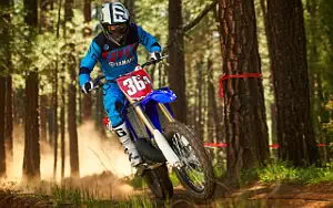 Desktop wallpapers motorcycle Yamaha YZ250X - 2017