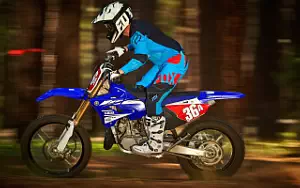 Desktop wallpapers motorcycle Yamaha YZ250X - 2017